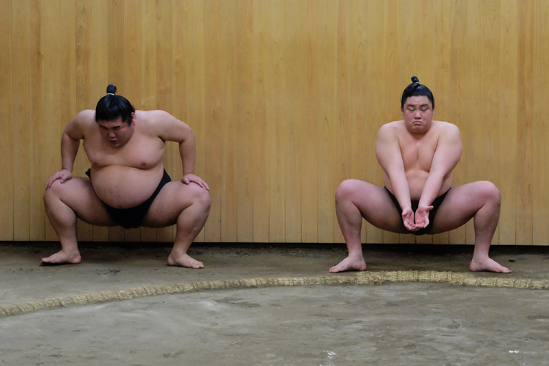 Sumo, Kitanoumi-beya, Koto-ku, Tokyo