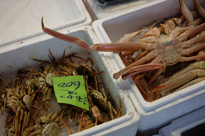 tsukiji fish market Tokyo crab