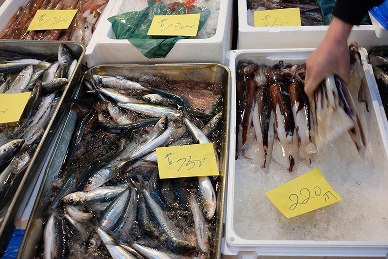 tsukiji fish market Tokyo