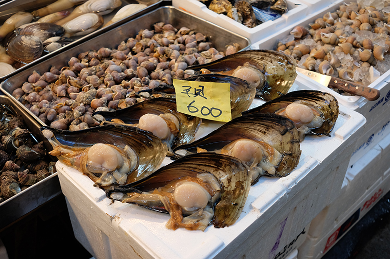 tsukiji fish market Tokyo Abolone