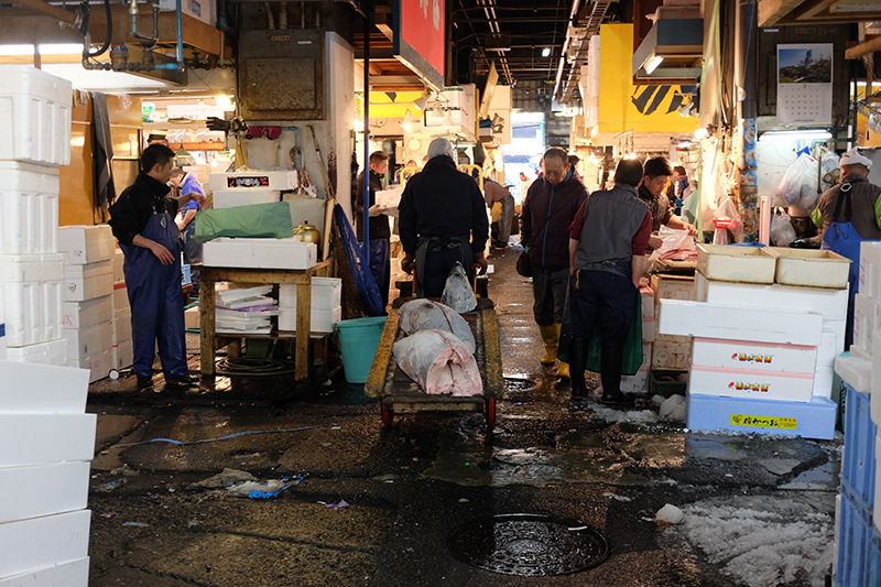 tsukiji fish market Tokyo