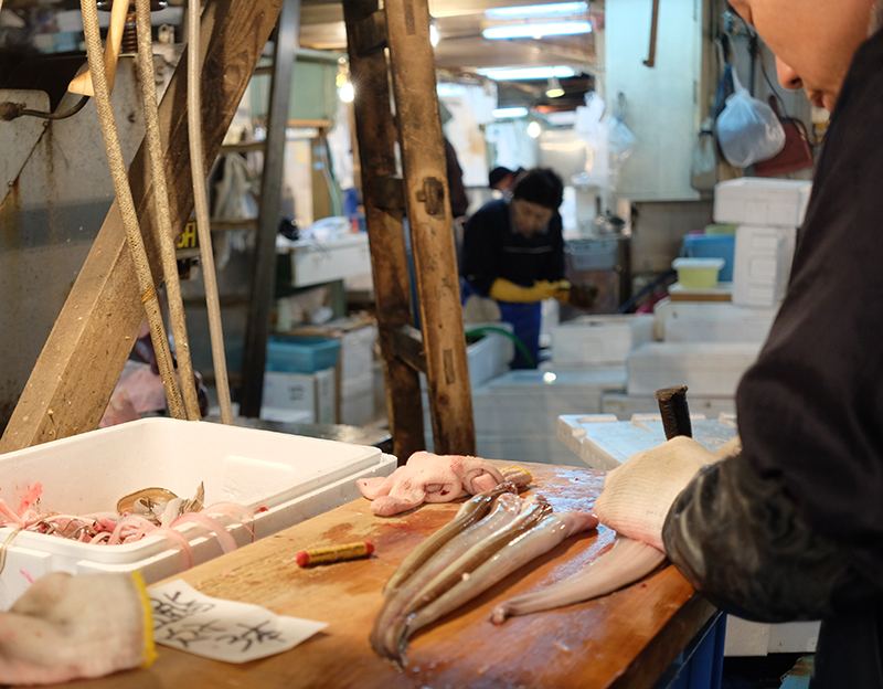 tsukiji fish market japan